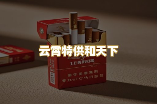 云霄特供和天下